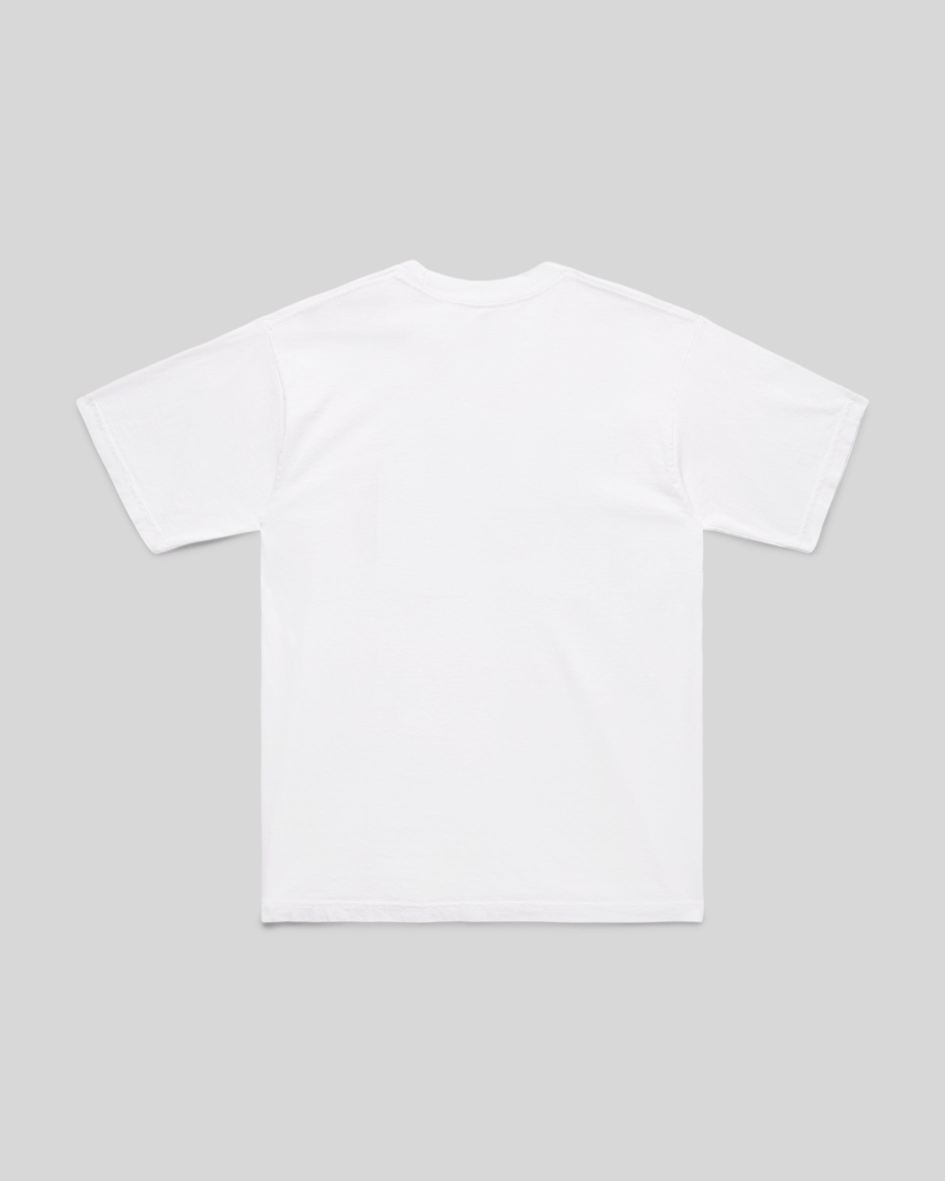 Lichtenstein Perfect/Imperfect T-Shirt
